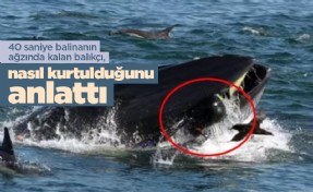 40 saniye balinanın ağzında kalan balıkçı, nasıl kurtulduğunu anlattı