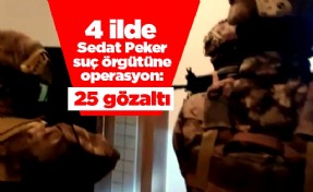 4 ilde Sedat Peker suç örgütüne operasyon: 25 gözaltı