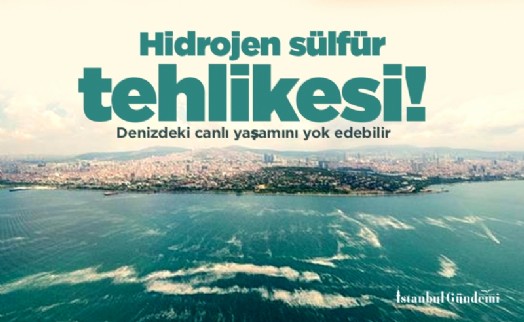 Marmara'da hidrojen sülfür tehlikesi! Denizdeki canlı yaşamını yok edebilir