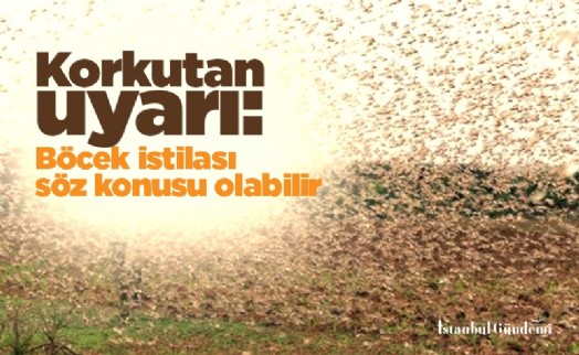 Korkutan uyarı: Böcek istilası söz konusu olabilir