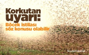 Korkutan uyarı: Böcek istilası söz konusu olabilir
