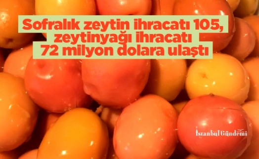 Sofralık zeytin ihracatı 105, zeytinyağı ihracatı 72 milyon dolara ulaştı