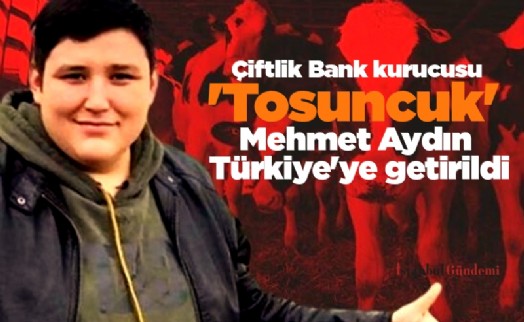 Çiftlik Bank kurucusu 'Tosuncuk' Mehmet Aydın Türkiye'ye getirildi
