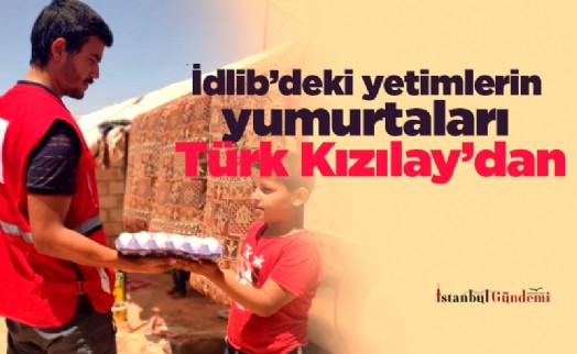 İdlib’deki yetimlerin yumurtaları Türk Kızılay’dan