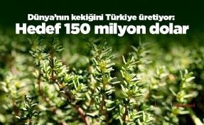 Dünya’nın kekiğini Türkiye üretiyor: Hedef 150 milyon dolar