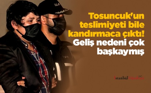 Tosuncuk'un teslimiyeti bile kandırmaca çıktı! Geliş nedeni çok başkaymış