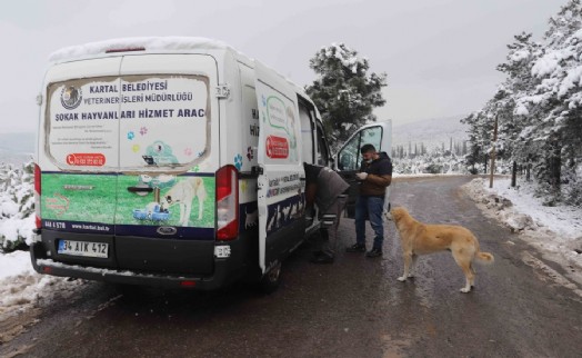Kartal Belediyesi sokak hayvanlarını unutmadı