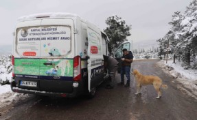 Kartal Belediyesi sokak hayvanlarını unutmadı