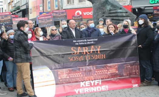 Gözde Fil ‘Zamlı elektrik faturalarıyla vatandaşları çarptılar’