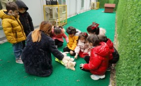 Sarıyerli çocuklar hayvan sevgisiyle büyüyor