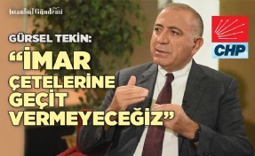 Gürsel Tekin ‘Arsalar neden hızla elden çıkarılıyor?’
