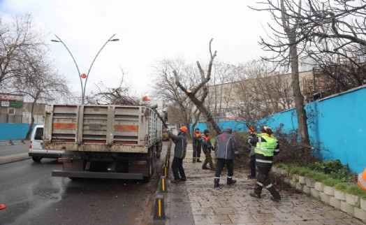 Kartal’da kardan zarar gören ağaçlara anında müdahale