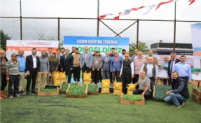 Çekmeköylü çiftçilere yerli fide desteği