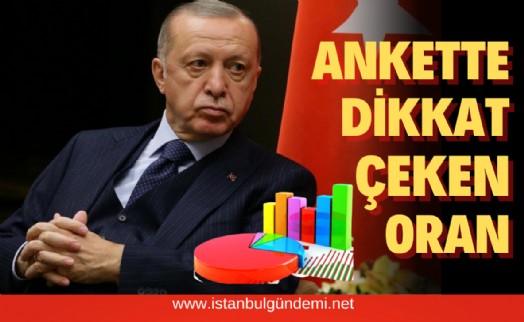 Yapılan araştırmayla Cumhurbaşkanı Erdoğan’ın oy potansiyeli…