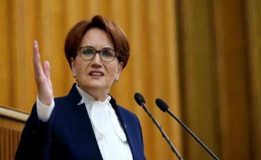 Meral Akşener’e köpek saldırısı!