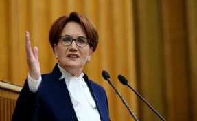 Meral Akşener’e köpek saldırısı!