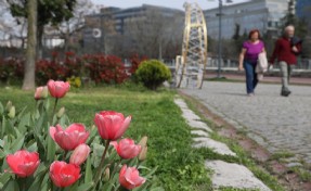 Kâğıthane’de rengarenk görsel şölen