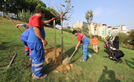 Kağıthane Belediyesi’nden her bebeğe özel fidan