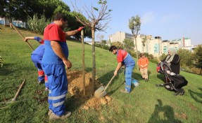 Kağıthane Belediyesi’nden her bebeğe özel fidan