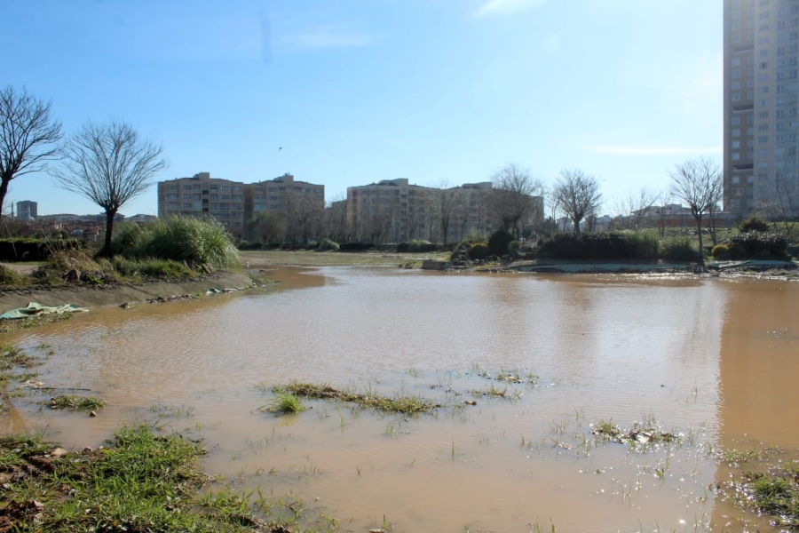 Gölet Park'ın şimdiki hali.